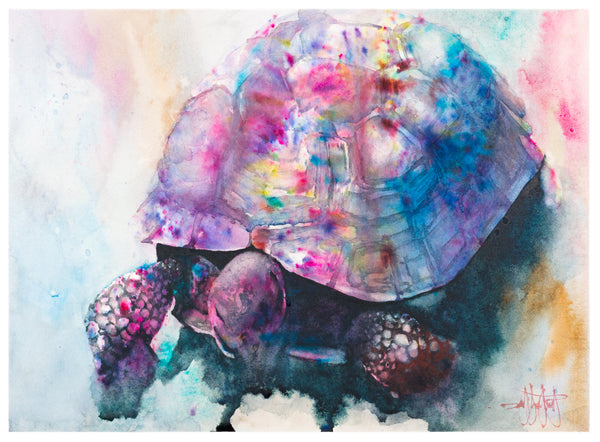 Sweet Medicine *Fine Art Prints