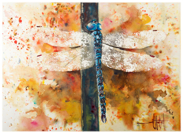 Wings of Light *Fine Art Prints