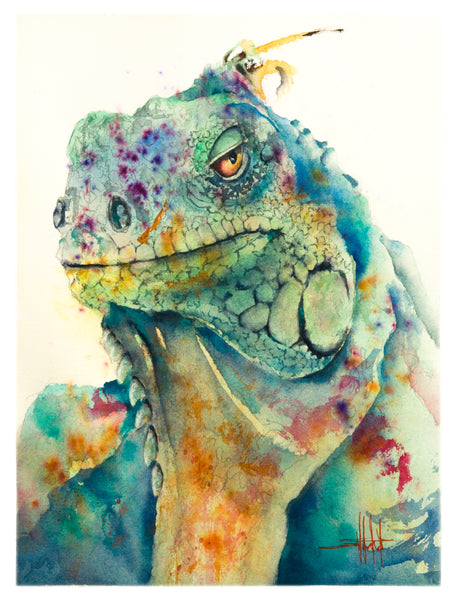 Ziggy *Fine Art Prints