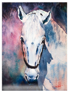 The Art of Ward Jene Stroud - Weekly Vlog #4 The White Mare