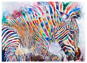 colorful zebra rainbow