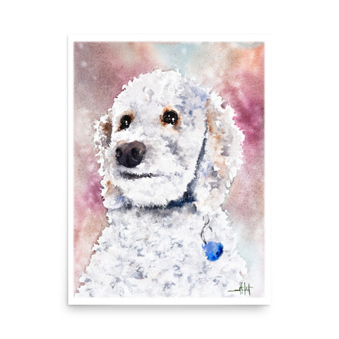 Sadie *Fine Art Prints!