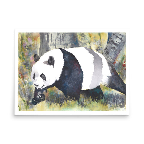 Best Foot Forward *Fine Art Print!