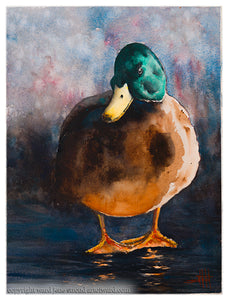Dark Duck *Fine Art Prints