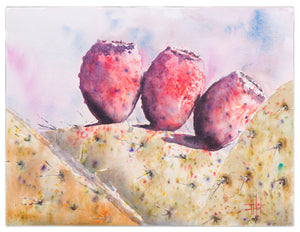 Cactus Fruitas *Fine Art Prints