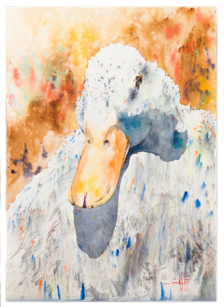 Dazzling Duck *Fine Art Prints