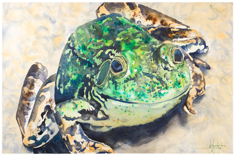 Meghann's Frog *Fine Art Prints