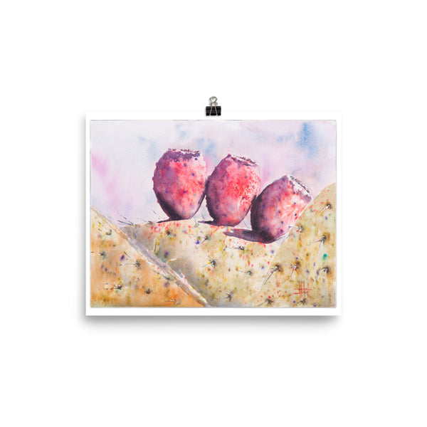 Cactus Fruitas *Fine Art Prints
