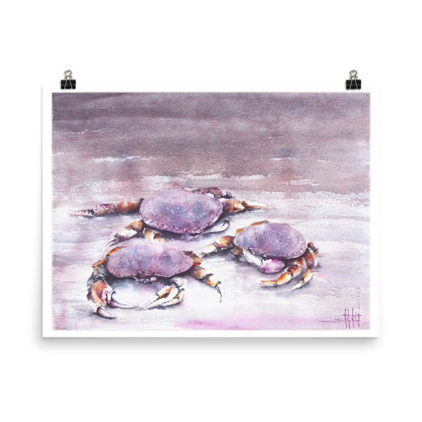 Cast of Crabs *Fine Art Prints