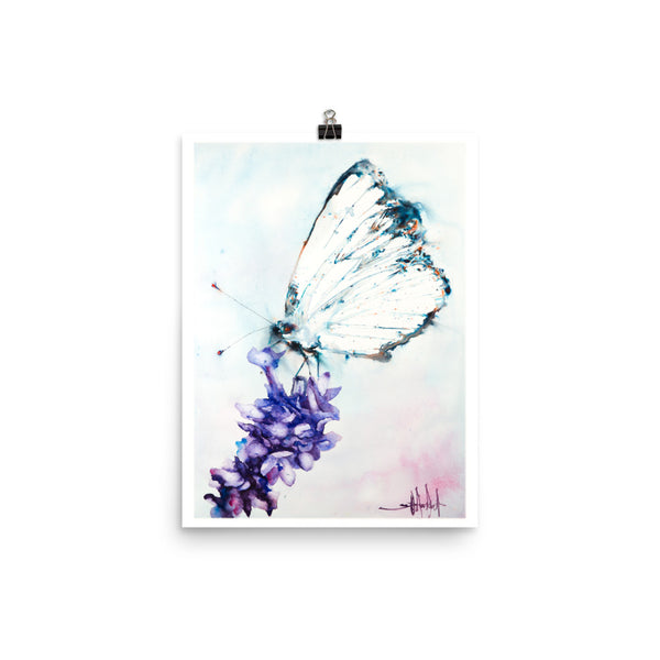Beebee's Butterfly *Fine Art Prints
