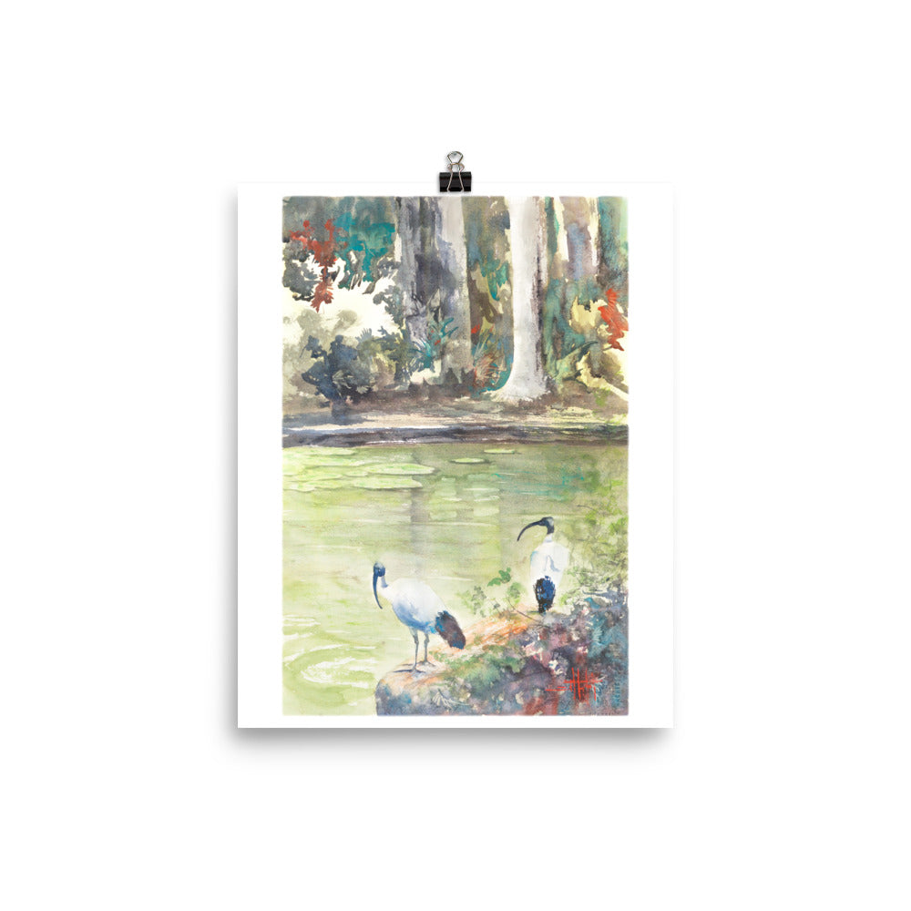 Corner of the Pond *Fine Art Prints