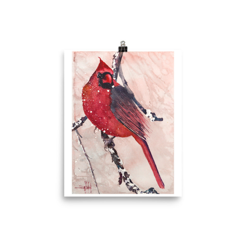 Cardinal of Maine *Fine Art Prints